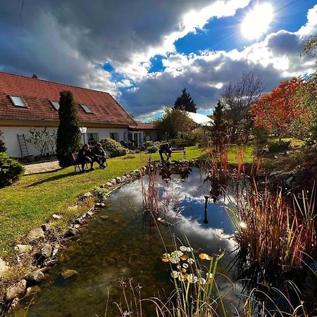 Bed and Breakfast Pilisi Lovas Major, Dorog Екстер'єр фото