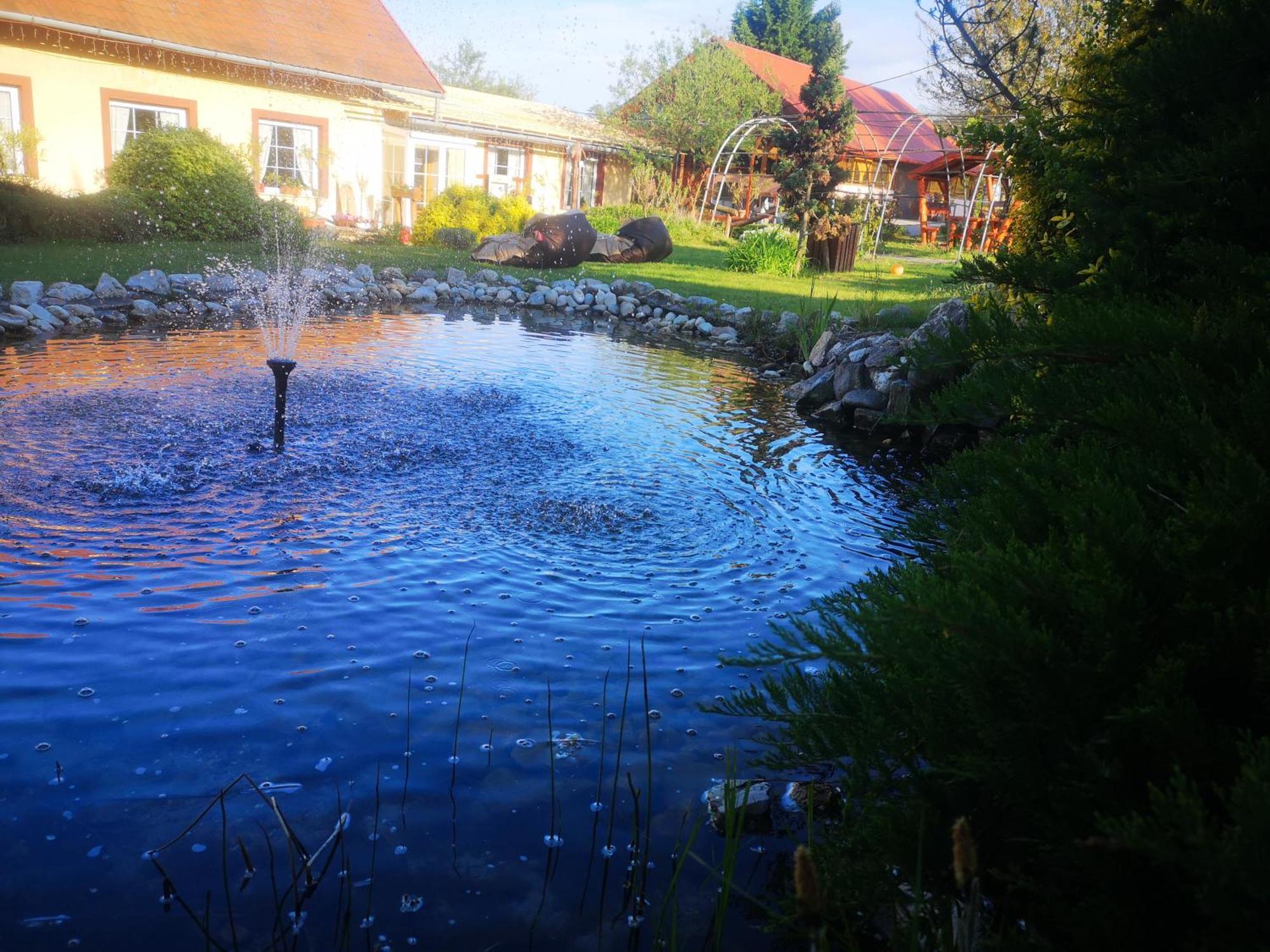 Bed and Breakfast Pilisi Lovas Major, Dorog Екстер'єр фото