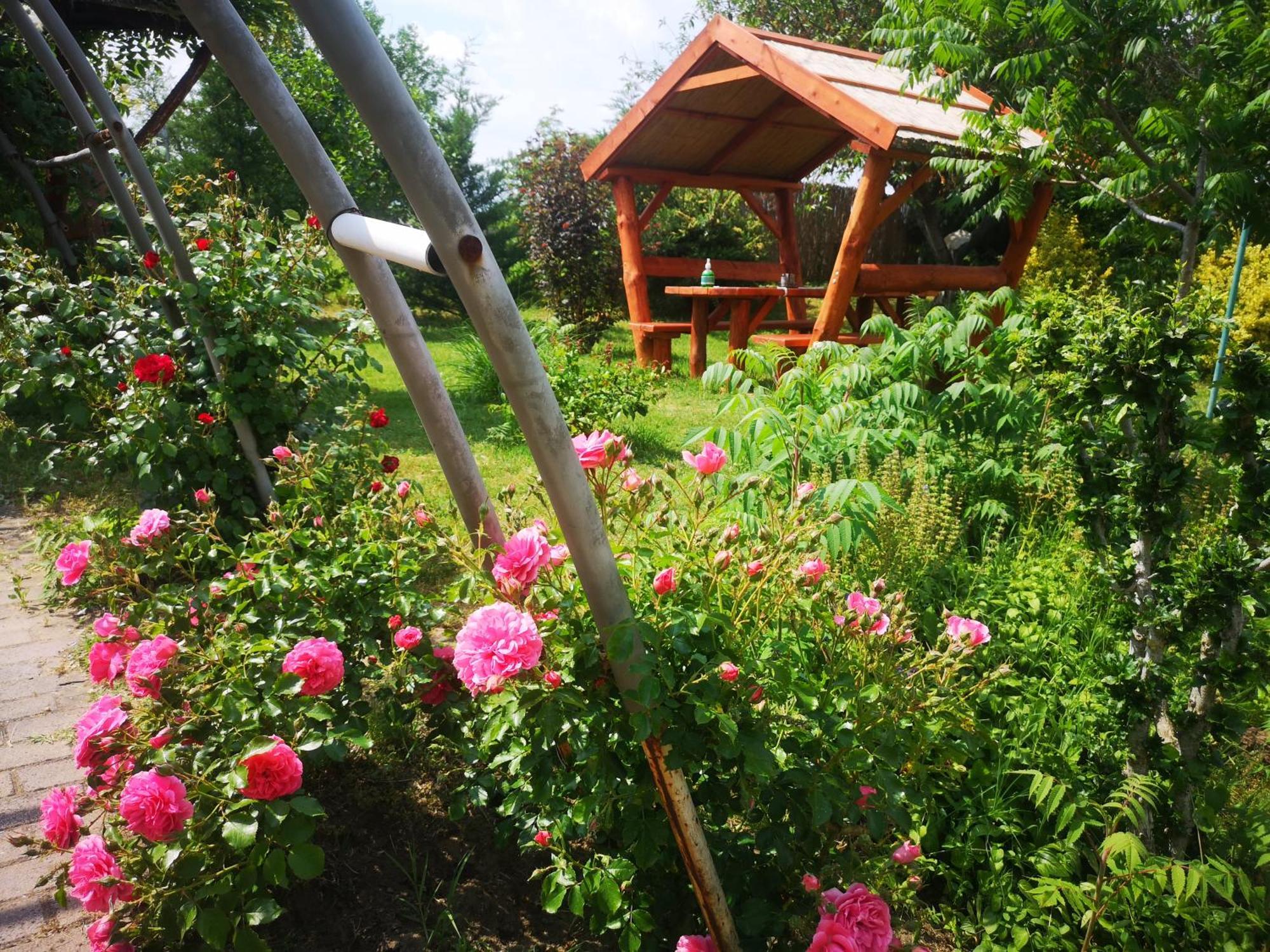 Bed and Breakfast Pilisi Lovas Major, Dorog Екстер'єр фото